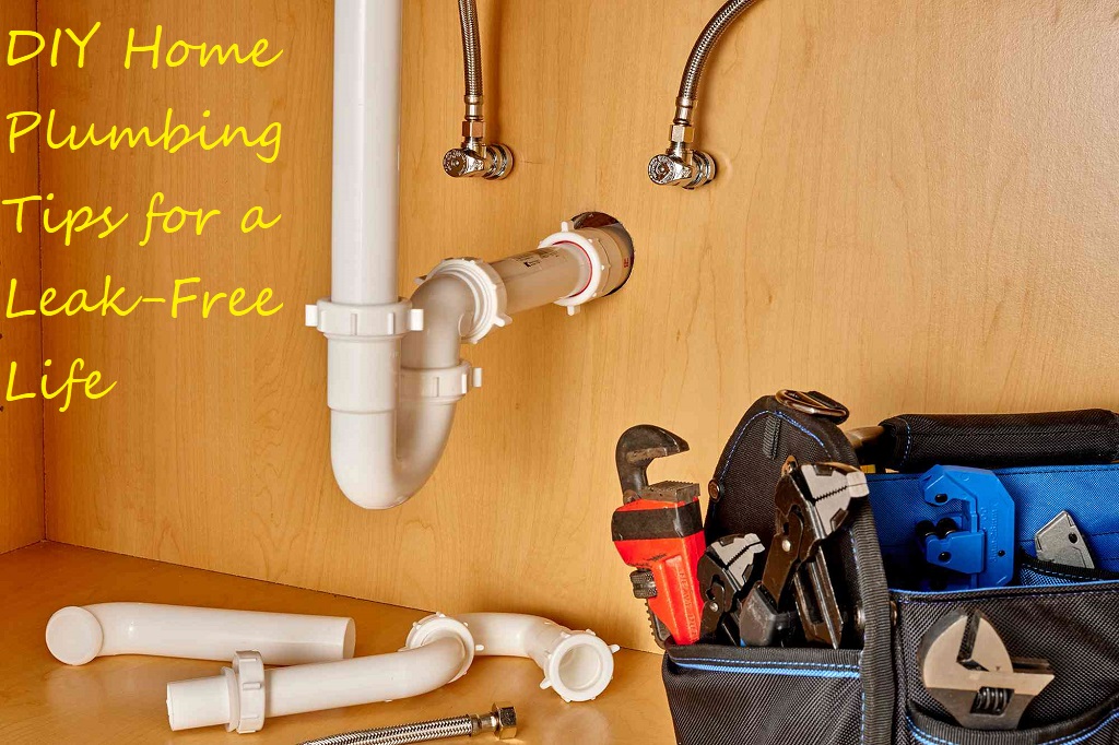 Empower Your Home: DIY Home Plumbing Tips for a Leak-Free Life