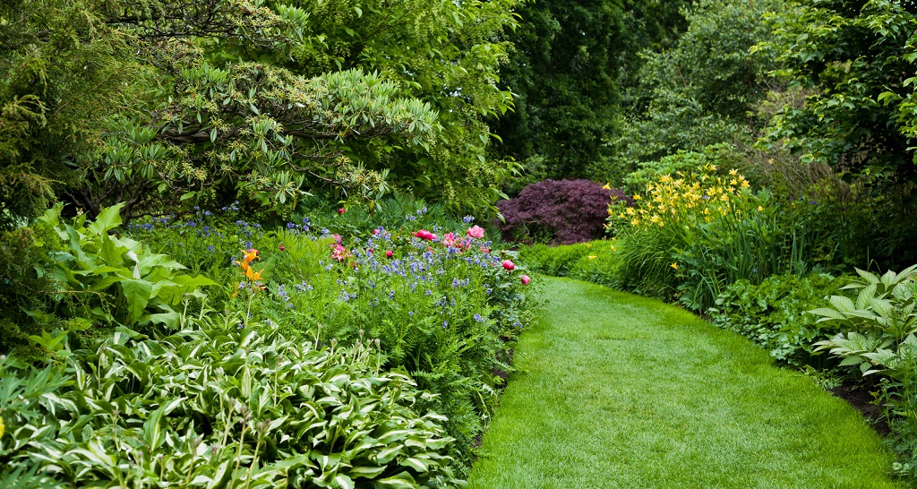 How to improve environmental sustainability in the workplace? 