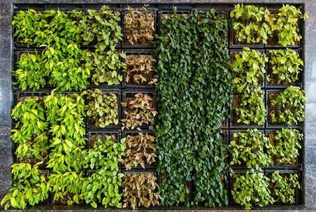 What makes a vertical garden sustainable? 