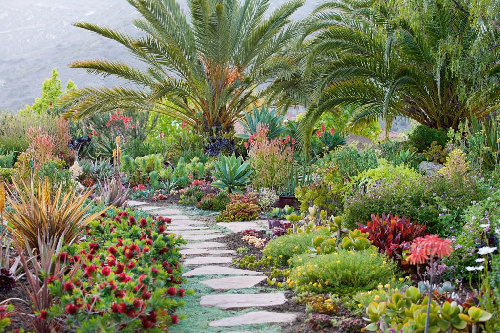 Which plant is suitable for edging?